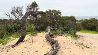 Exploring Rockingham | Perth&rsquo;s Beautiful Coastal Escape
