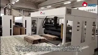 YOCO 1650E automatic die cutter machine with breaker for vegetable box #postpress   #diecutting