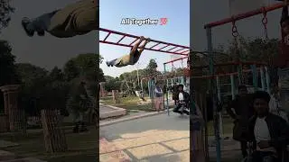 Dragon 360 Tutorial 👍 #shorts #shortsvideo #ashortaday