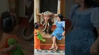 Giant Elephant! 😲❤️#templevisit #shortsfeed #shorts