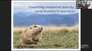 Eileen Lacey: Unearthing Unexpected Diversity: Social Structure in Tuco-tucos (4 Apr. 2023)
