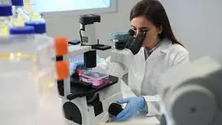The Mycoplasma Testing Revolution - Episode 1