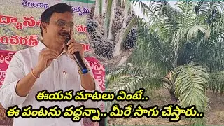 దిగుబడులు వస్తాయో లేదో అనే అనుమానంతో సాగు చేసిన రైతులు వస్తున్న దిగుబడులు చూసి విస్తుపోతున్నారు...!
