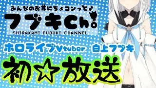 【初放送】フブキCh。(^・ω・^§)ﾉ　白上フブキのみんなのお耳にちょコンっと放送！