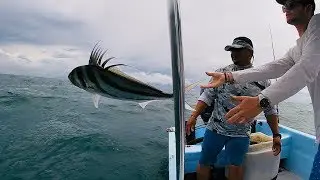Atunes, gallos y jureles en Golfito (Costa Rica)