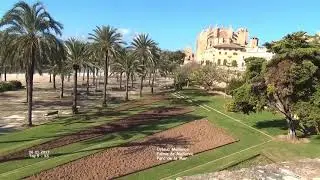Parc de la Mar - Palma de Mallorca - Mallorca