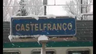 Castelfranco Emilia - La nuova era glaciale - 31 gennaio 2010.flv