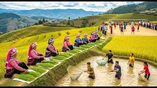 Discover the unique fair. Cốm market, carp market only found in the highlands of Xin Man - Ha Giang