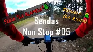 🌄 Sendas BTT Sin Cortes #05: 🌳 La Alameda (Moncalvillo, La Rioja)