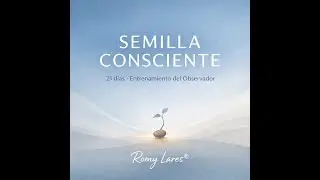 D&iacute;a 5: Reconocer la autoexigencia y la forma en que me trato internamente