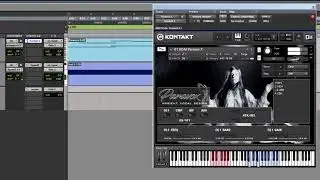 Bela D Media | Voices for Kontakt | Paravox X Sound Examples