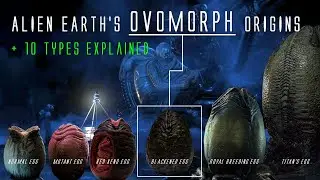 The 10 Types of Ovomorphs & Alien Earth's Black Eggs Origins