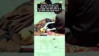 पैसा aane ke बाद insan बदल जाते hai बेजुबान जानवर nhi | short video |