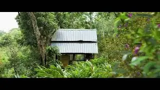 Bamboo Dale Resort, Bison Valley | Idukki