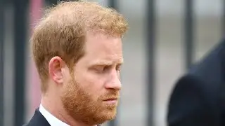 Prince Harry loses legal challenge against UK government&rsquo;s police protection decision