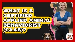 What Is A Certified Applied Animal Behaviorist (CAAB)? - Animal Care Jobs