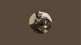 Tardigrade stream 1/14/2025 music by @badatmath.