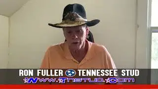 &ldquo;The Tennessee Stud&rdquo; Ron Fuller YouTube Update 7/9/2025