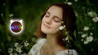 Chill Cole - Calm Cadence