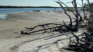 Kice Island, Florida (Widescreen)