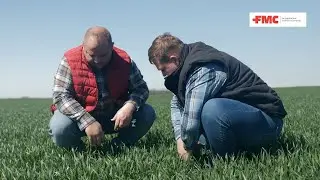 Rémen nem bízzák a véletlenre az őszi búza termesztését