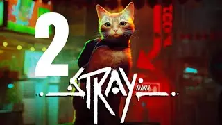 Momo e i 4 Taccuini Perduti ( STRAY Gameplay ITA Ep.2)