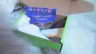Party prep voxbox
