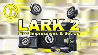 Hollyland Lark M2 Wireless Lavalier Microphone (2TX+3RX) Combo, Review & Settings.