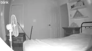 Dogs barking outside 🤦&zwj;♀️ more orbs #haunted #ghost #hauntedhouse #paranormal