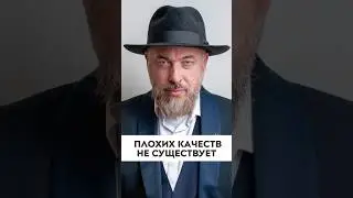 Плохих качеств не существует