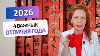 2026 год: 4 важных отличия года Огненной Лошади!