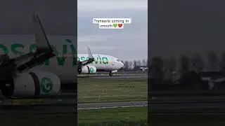 Transavia Boeing 737-800 Rolling Out at Blue Hour ✈️