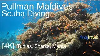 Pullman Maldives Maamutaa - Diving