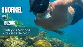 SNORKEL 🤿 EN BUZIOS 🇧🇷