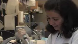 Elizabeth Nabel and Liz Walker Talk Video - Brigham and Women's Hospital