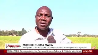 #MutamburukoWaMohoro