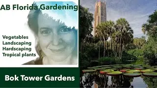 Bok Tower Gardens