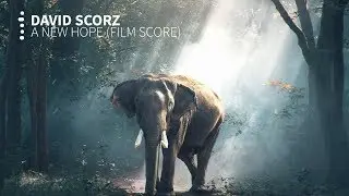 David Scorz - A New Hope (Epic Inspirational Film Score)