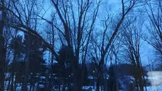 Backyard Time Lapse Video in 31 Seconds for 5 Days