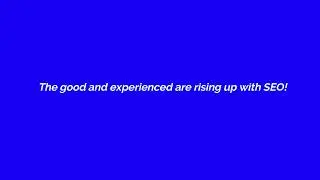 The Good and Experienced are Rising up with SEO!