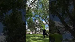 Arizona Tree Climbing Champion 2023 #tree #rigging #climbing #treeclimber #petzl #husqvarna #sthil