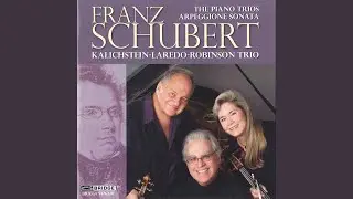Piano Trio No. 1 in B-Flat Major, Op. 99, D. 898: I. Allegro moderato