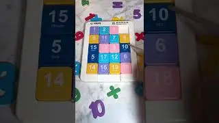 Satisfying ASMR Sliding Block Puzzle 1-19