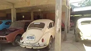 Veja só o Fusca depois da revisão da elétrica parado 3 anos #oficinadantas 