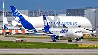 A day at Hamburg Finkenwerder XFW Airbus factory! Incl. Beluga (XL), first A321NEO Luftwaffe & more!