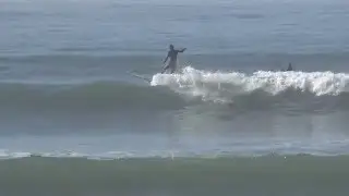 Surfing Faria County Park