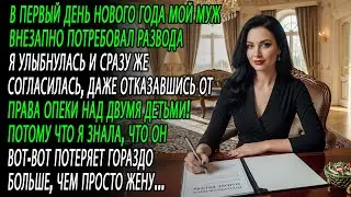 он потребовал развод под новый год 💔 я улыбнулась и согласилась😏✅и отказалась от обоих наших детей 👋