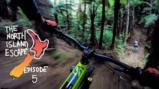 THIS is why I flew halfway around the world to mountain bike | North Island Escape Ep. 5