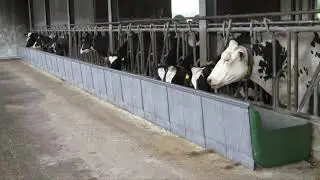 74 gal J Bunk for Cattle, AFP-1300