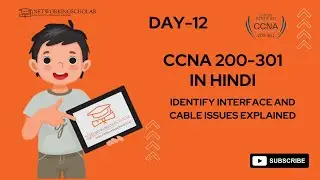 Day 12.  Identify interface and cable issues Explained.